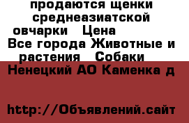 продаются щенки среднеазиатской овчарки › Цена ­ 30 000 - Все города Животные и растения » Собаки   . Ненецкий АО,Каменка д.